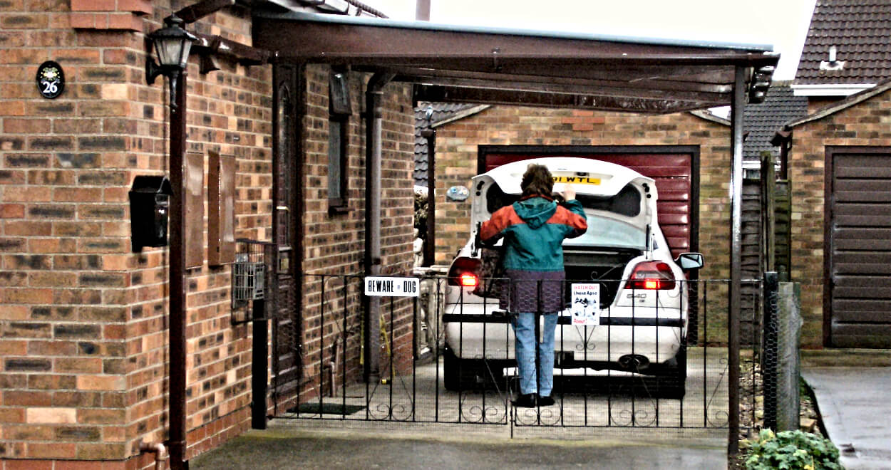 Carp Canopies & Driveway Canopies ⓥ 123v