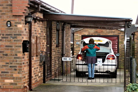 Carport Canopy Brown with posts