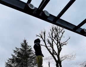 The Four Seasons of 123v Carports - Part 2