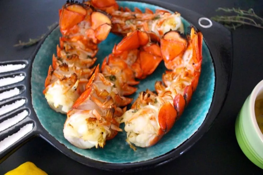 BBQ Lobster 123v
